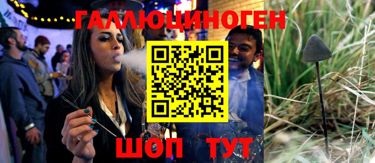 Галлюциногенные грибы GOLDEN TEACHER  Псилоцибиновые грибы Psilocybine cubensis  Курчатов  Вход с VPN 